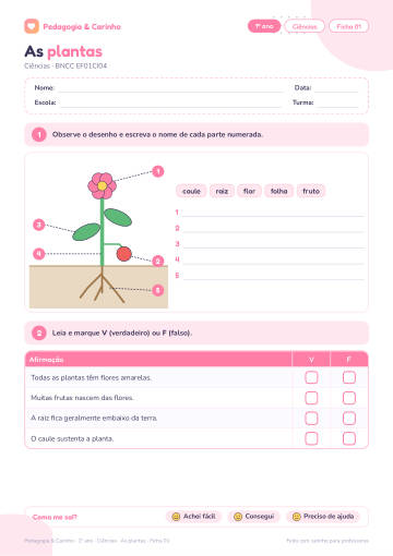 Prévia: As plantas – Ciências 1º ano, ficha 1