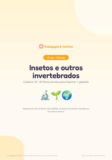 Caderno Insetos e outros invertebrados – Ciências 3º ano